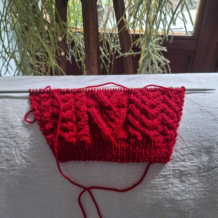 Scarlet Treasure #5