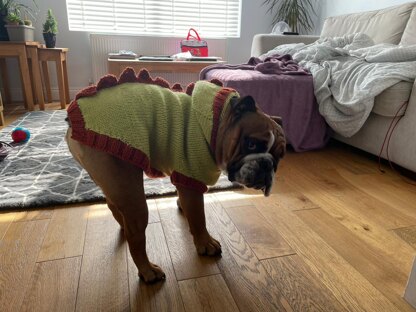 The dragon slayer dog sweater