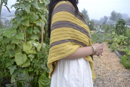 Eda Shawl