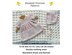 P144 Dolls Dress and Bonnet