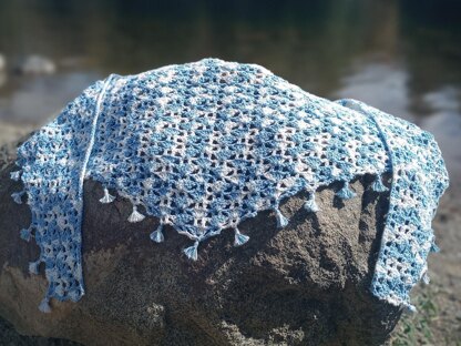 Shells in a Net Shawl