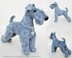 103 Kerry Blue Terrier dog