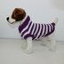Aran Stripe Dog Coat