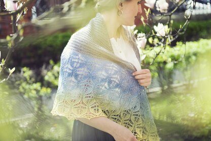 Brie Shawl