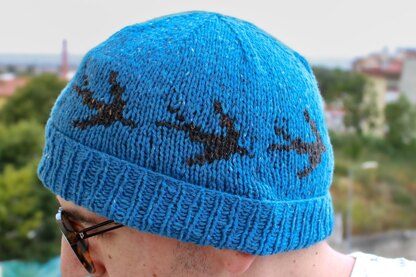 Swallows Beanie