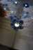 Forget Me Not