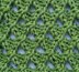Tracery Scarf