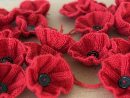 Poppy Flower
