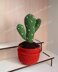 Cactus 2 in a pot