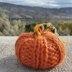 Little Knit Pumpkin Knitting Pattern