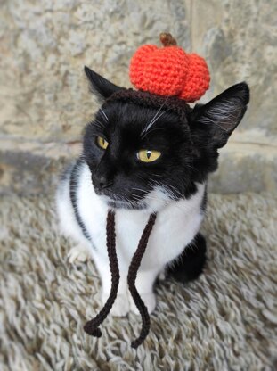 Pumpkin Cat Hat – Crochet