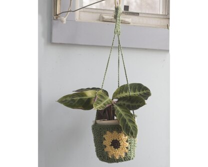 Sunflower Plant Hanger