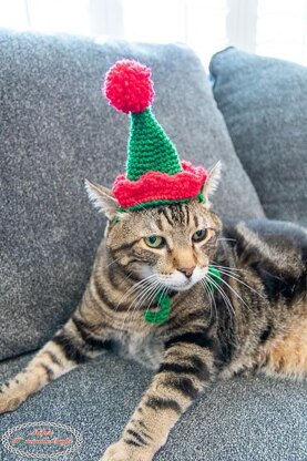 Cat's Elf Hat