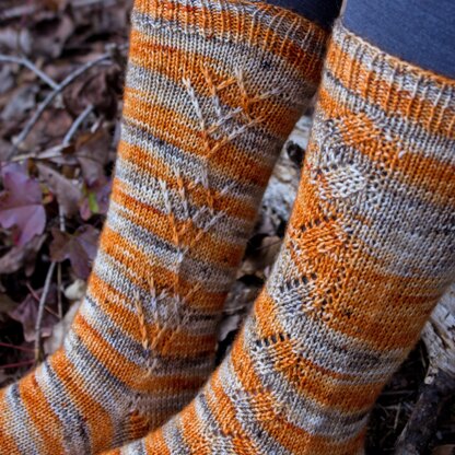 Autumnal Socks