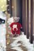 Knitting Teddy Bear Pattern with Clothes