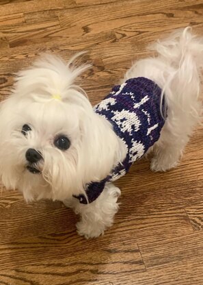 Get Ghosted Dog Sweater