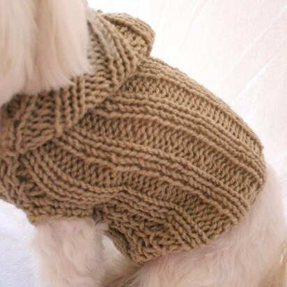 P02 Dog Hoodie Sweater
