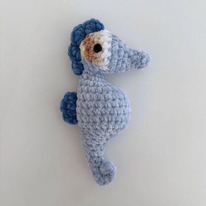 Skye the Seahorse