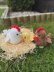 Plush Chicken toy