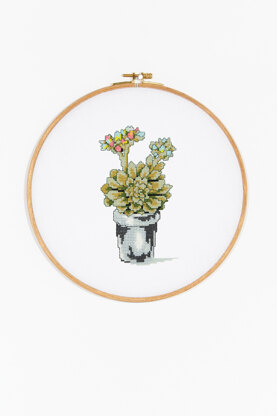 Flowering Succulent in DMC - PAT0098 - Downloadable PDF