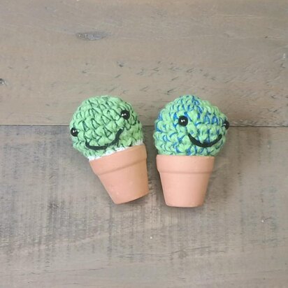 Mini cactus pot