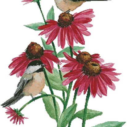 Chickadees on Coneflowers - #13084-MP