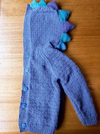 Dinosaur Hooded Jacket #2