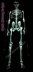 Sir Skelly Bonesington wall hanging