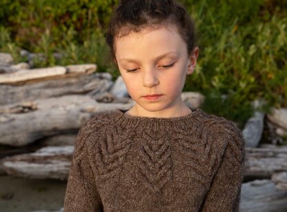 Antler Pullover