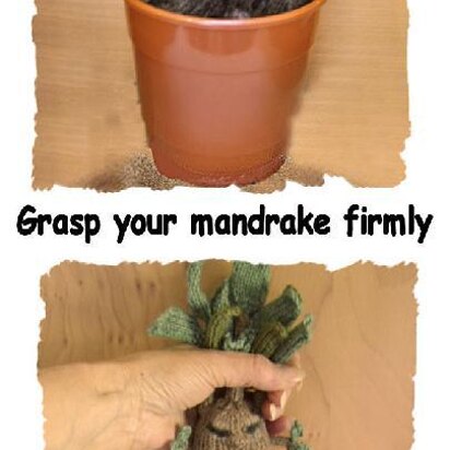 Mandrake Plant - knitting pattern