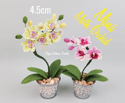 Mini Moth Orchid Crochet pattern by Pippa Patterns | LoveCrafts