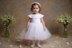 Pamela Tutu Dress