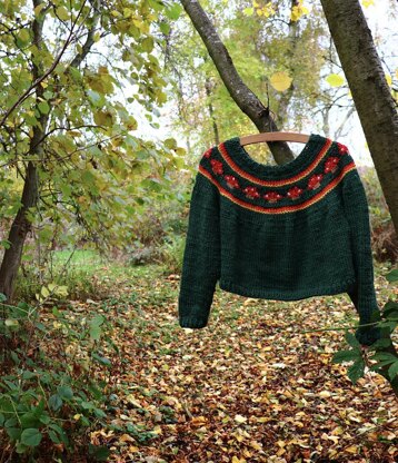 The Toadstool Sweater Adult