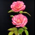 Handel Rose