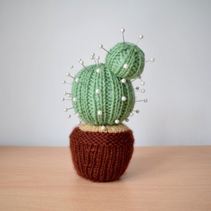 Cactus Pincushion