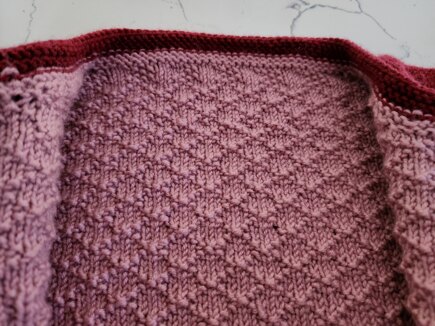 Coat with Trellis Lining #3