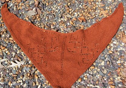 Autumn Cozy (a shawl in cashmere)