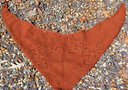 Autumn Cozy (a shawl in cashmere)