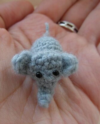 Oh, so tiny! Elephant