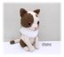 Casey Cat Crochet Pattern