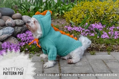 Dragon dog hoodie