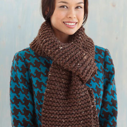 Beginner Scarf in Lion Brand Hometown USA - L0084C