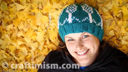 Phage Patterned Knit Hat