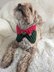 Elf Dog Crochet Cowl