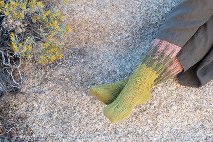 Cereus Socks