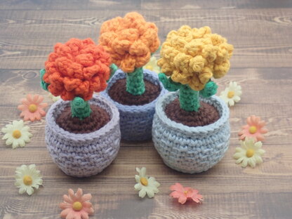 Daisy & Marigold in a Flower Pot