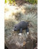 Woodland Animals Book by Patons - 3824