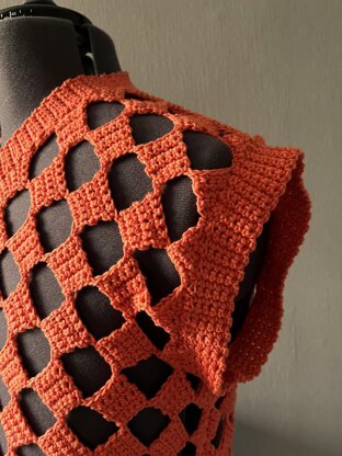 Checkered Mesh Sweater Vest