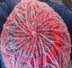 Twisted Tree Beanie