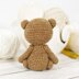 Edward the Small Teddy Bear